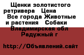 Щенки золотистого ретривера › Цена ­ 15 000 - Все города Животные и растения » Собаки   . Владимирская обл.,Радужный г.